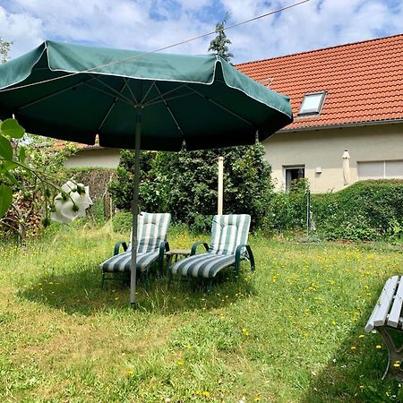 Grosse Ferienwohnung Mit Loggia Und Garten In Cottbus Luaran gambar